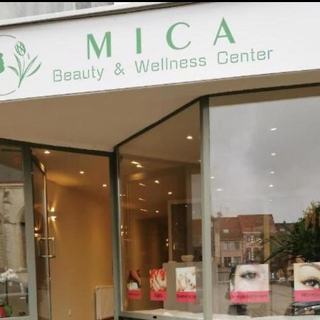 Mica Beauty Wellness Center Hotel Temse Екстериор снимка