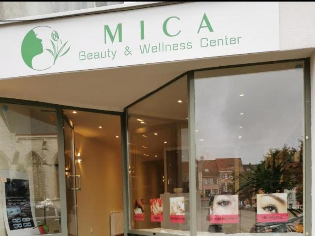 Mica Beauty Wellness Center Hotel Temse Екстериор снимка